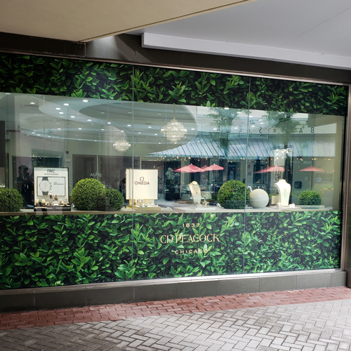 Peacock Window Graphics